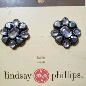Gray Metal Lindsay Phillips Snaps retired